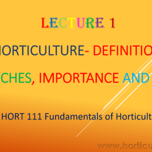 Horticulture- Defifnition, Importance and Scope PPT