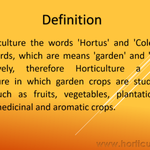 Horticulture- Defifnition, Importance and Scope PPT