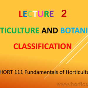 Horticultural and Botanical Classification PPT