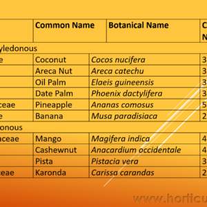 Horticultural and Botanical Classification PPT