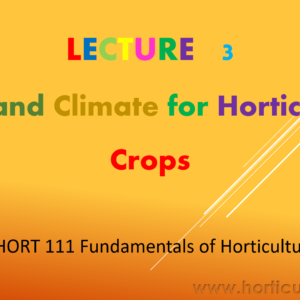 Soil and Climate for Horticulture Crops PPT