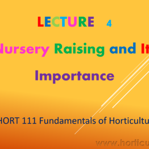 Nursery raising and its importance PPT