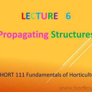 Propagating Structures PPT