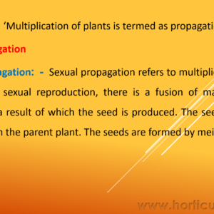 Plant Propagation PPT