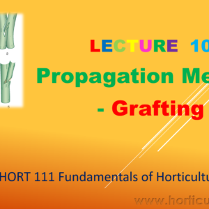 Grafting PPT