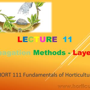 Layering PPT