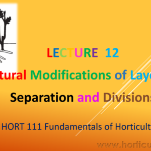 Natural Modifications of Layering and Seperation and Divisions PPT