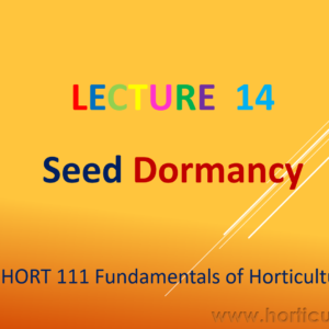 Seed Dormancy PPT