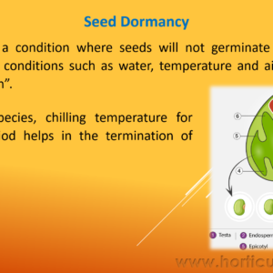 Seed Dormancy PPT