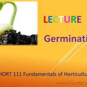 Germination PPT