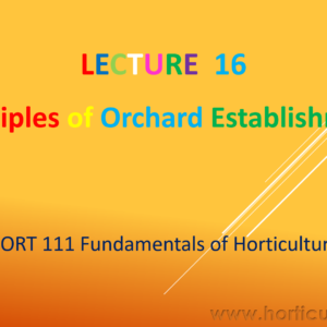 Orchard Establishment PPT