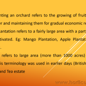 Orchard Establishment PPT