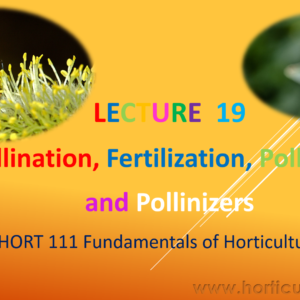 Pollination, Fertilization, Pollinizer and Pollinator PPT