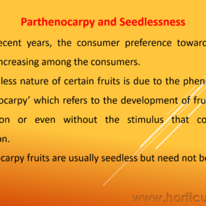 Parthenocarpy, Polyembryony and Apomixis PPT