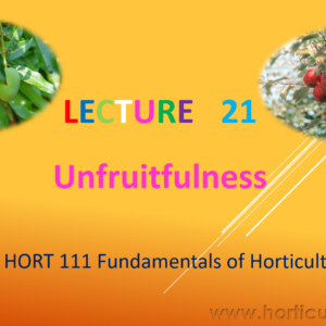 Unfruitfilness PPT