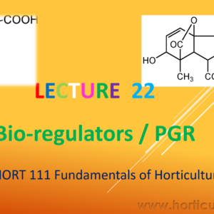 Bio-regulator PPT