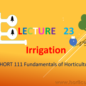 Irrigataion Method PPT