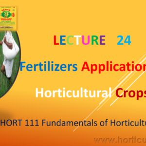 Fertilizer Application in Horticulture Crops PPT