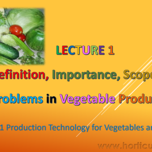 Definition, Importance, Scope and Problems of Vegetable Production PPT