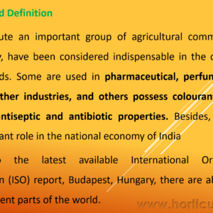 Importance and Scope of Spices PPT