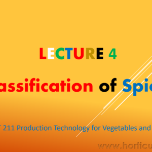 Classification of Spices PPT