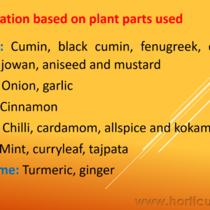 Classification of Spices PPT