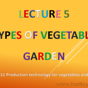 Types of Vegetable Garden PPT