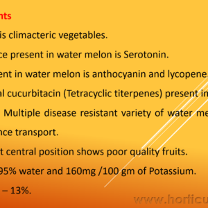 Watermelon PPT