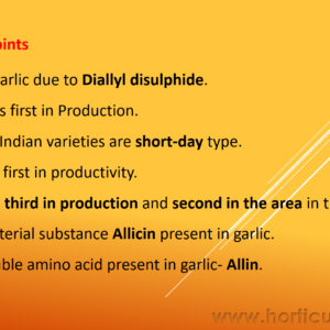 Garlic PPT