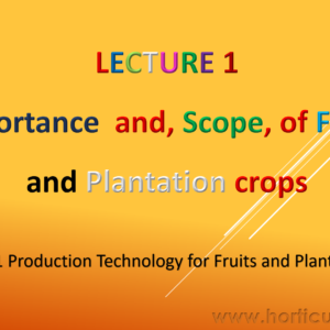 Importance and Scope of Fruits PPT