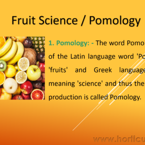 Importance and Scope of Fruits PPT