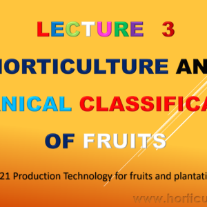 Horticultural and Botanical Classification PPT