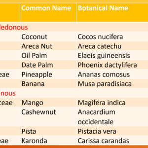 Horticultural and Botanical Classification PPT