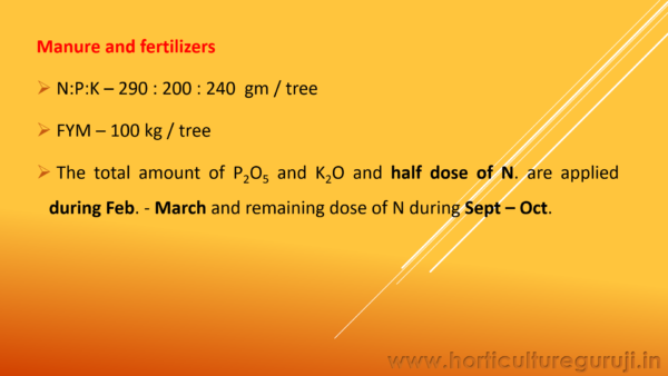 Orange Cultivation PPT - Image 5