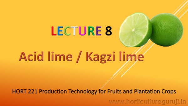 Acid Lime Cultivation PPT