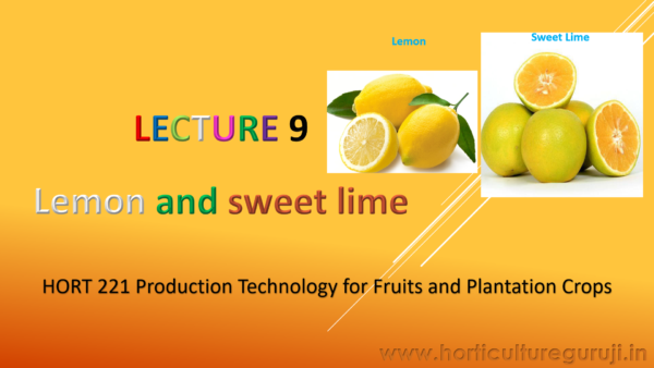 Lemon & Sweet Lime PPT