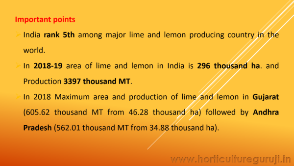 Lemon & Sweet Lime PPT - Image 4