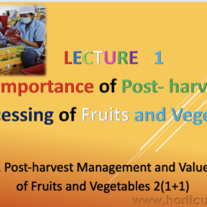 Importance of Post Harvest Technology PPT