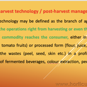 Importance of Post Harvest Technology PPT