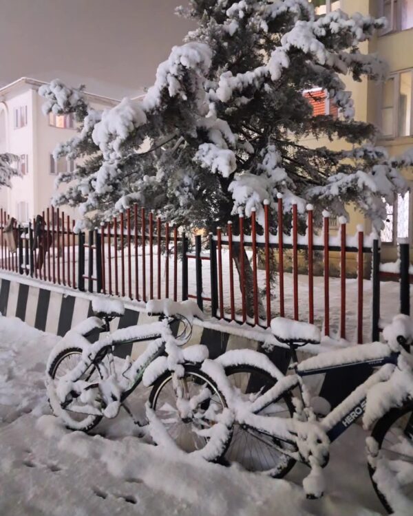 Snow-Covered Bicycles Photo