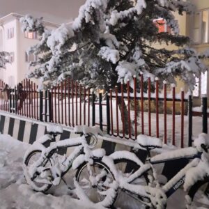 Snow-Covered Bicycles Photo