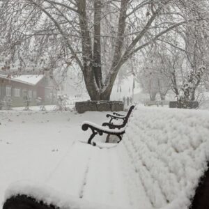 Snow Covered Benches Photo