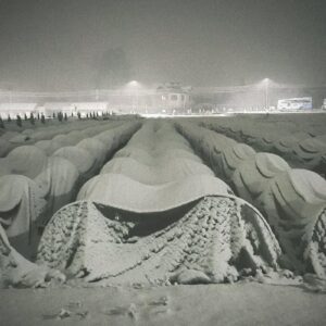 Poly Tunnels Covered With Snow Photo